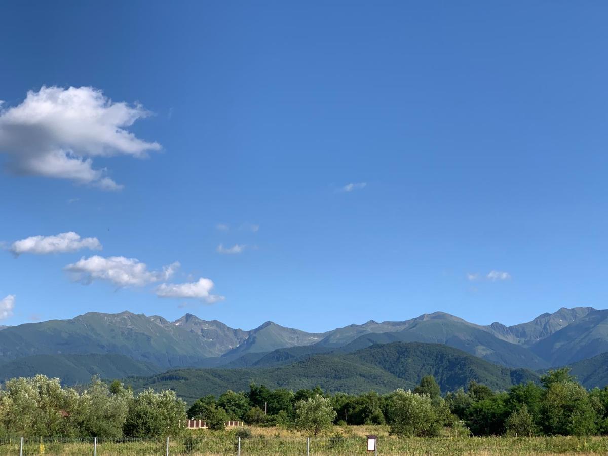 Villa Epic House Valea Avrigului Esterno foto