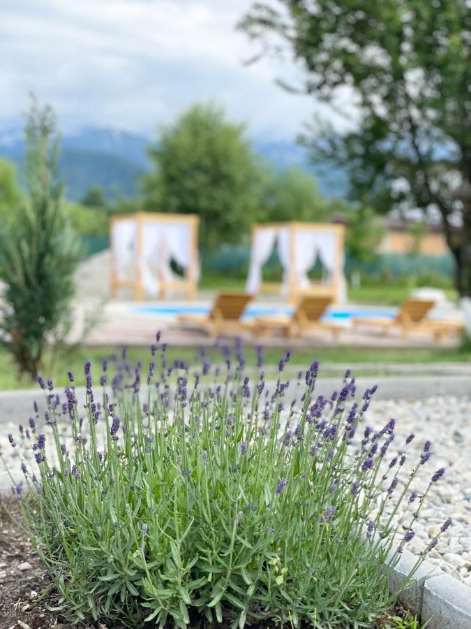 Villa Epic House Valea Avrigului Esterno foto