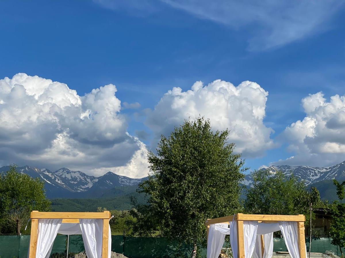 Villa Epic House Valea Avrigului Esterno foto