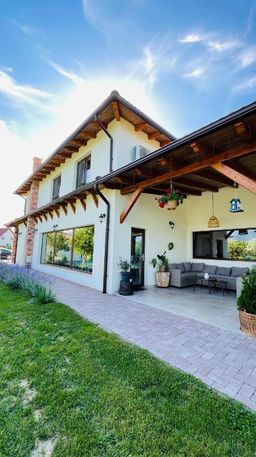 Villa Epic House Valea Avrigului Esterno foto