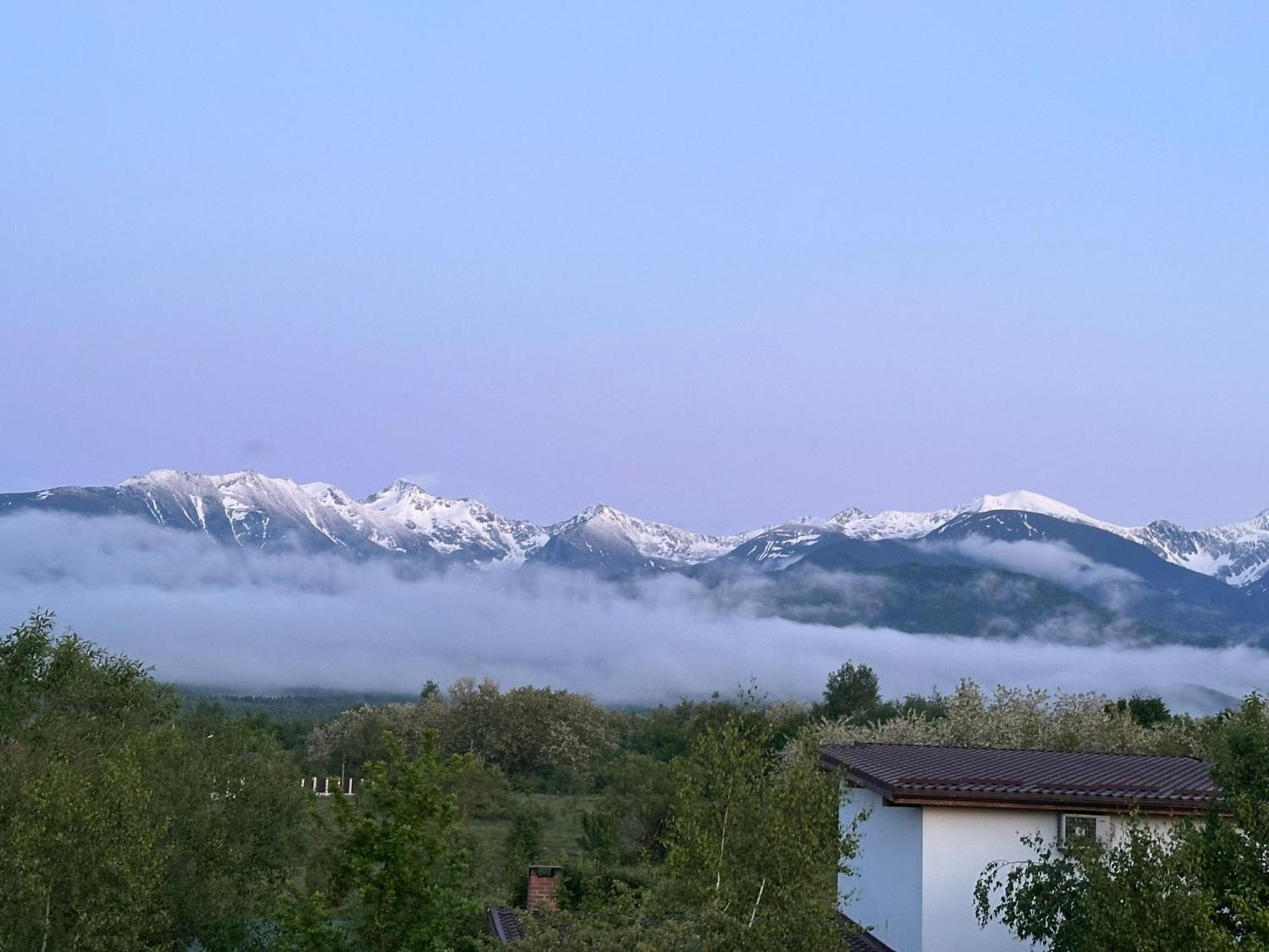 Villa Epic House Valea Avrigului Esterno foto