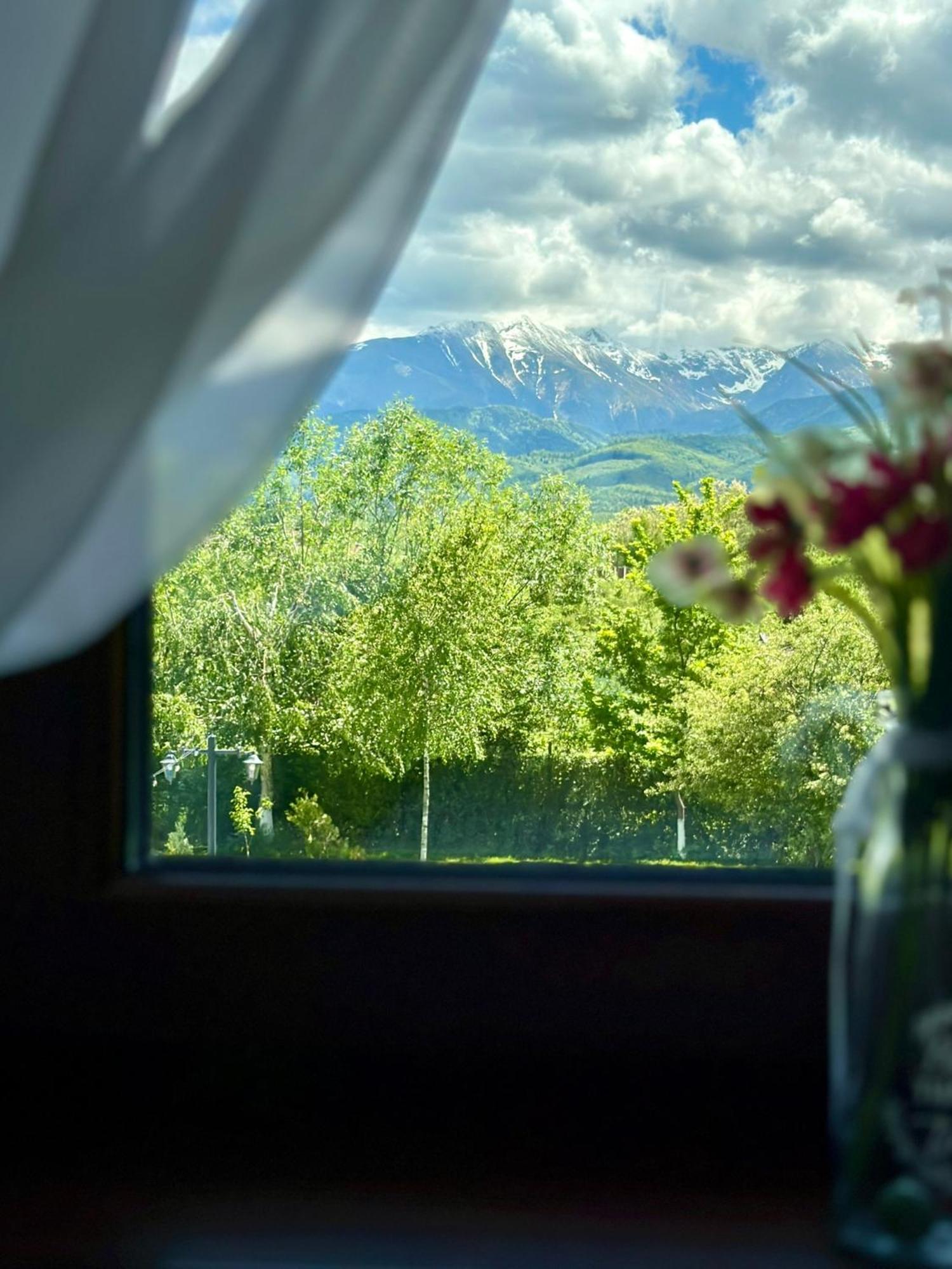 Villa Epic House Valea Avrigului Esterno foto